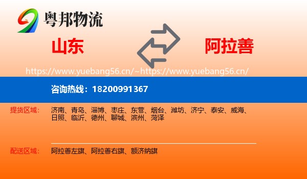 山东到阿拉善盟物流