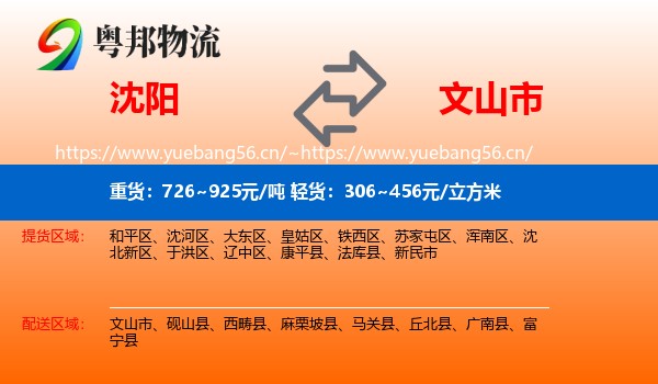 沈阳到文山市物流