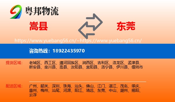 嵩县到东莞物流