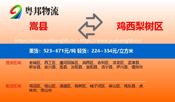 嵩县到梨树区物流