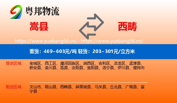 嵩县到西畴县物流