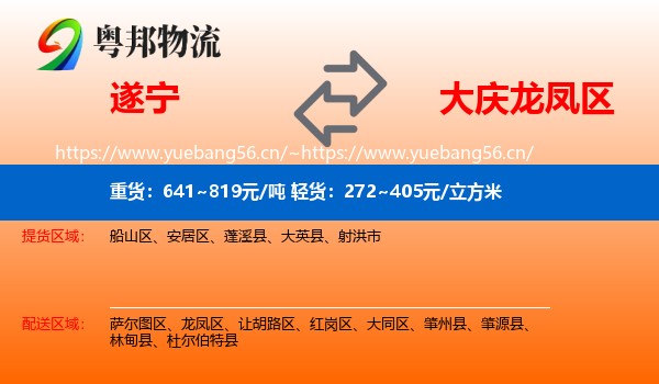 遂宁到龙凤区物流