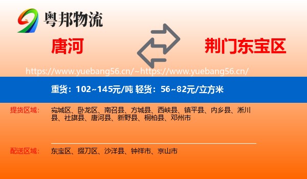 唐河到东宝区物流