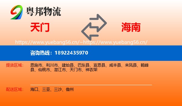 天门到海南物流