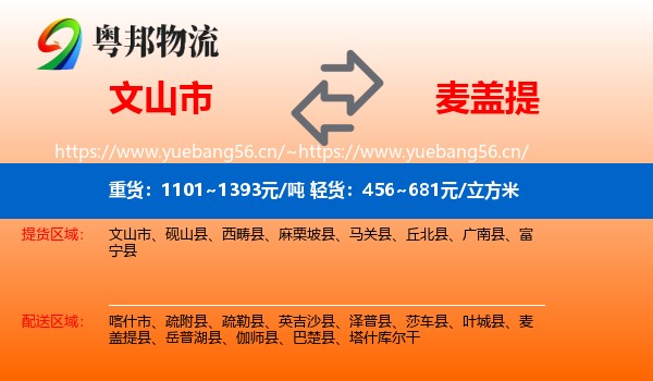 文山市到麦盖提县物流