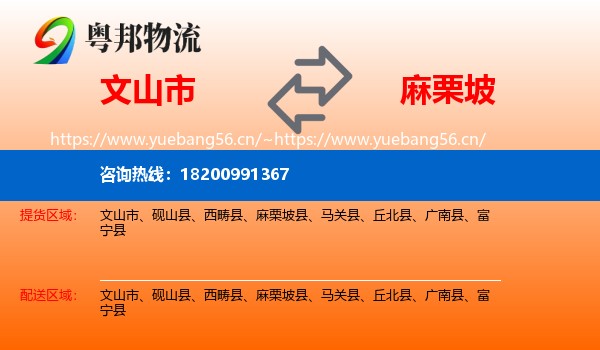 文山市到麻栗坡县物流