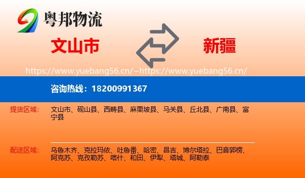 文山市到新疆物流