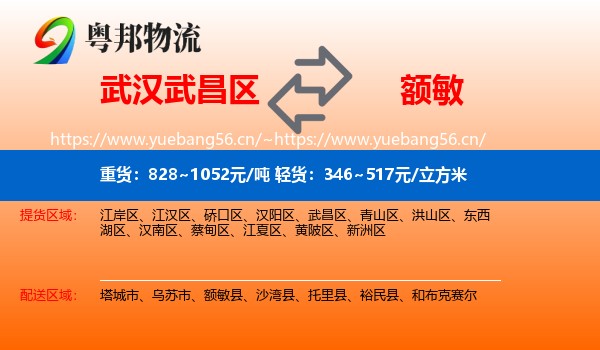 武汉武昌区到额敏县物流