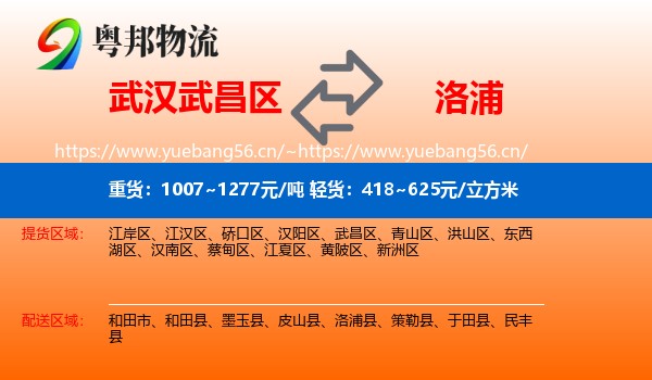 武汉武昌区到洛浦县物流