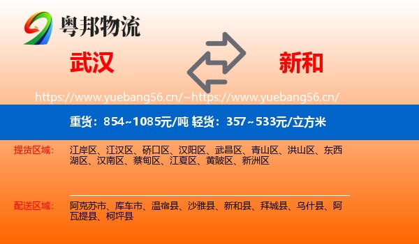 武汉到新和县物流