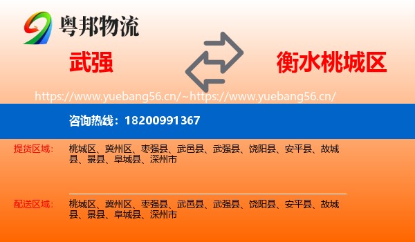 武强到桃城区物流