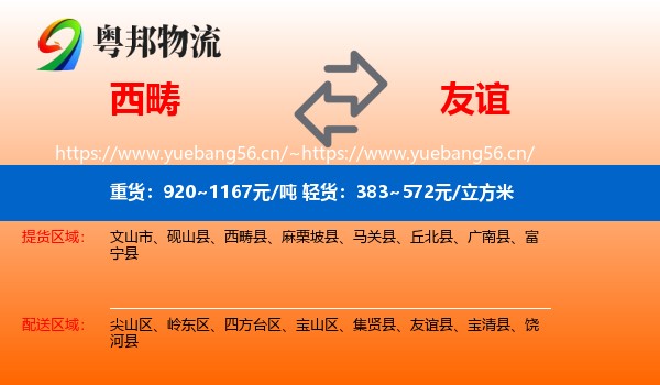 西畴到友谊县物流