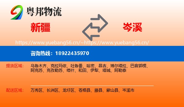 新疆到岑溪市物流