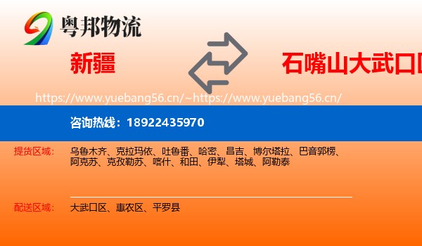 新疆到大武口区物流