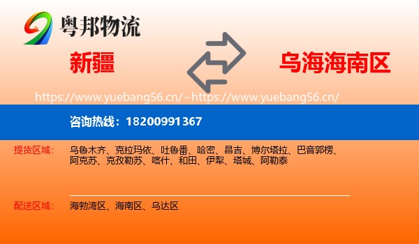 新疆到海南区物流