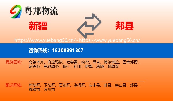 新疆到郏县物流