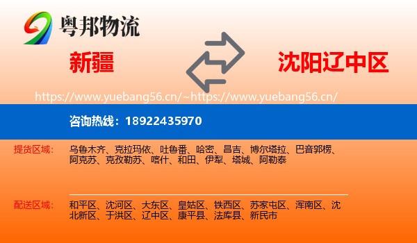 新疆到辽中区物流