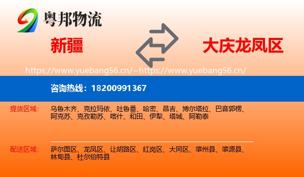新疆到龙凤区物流