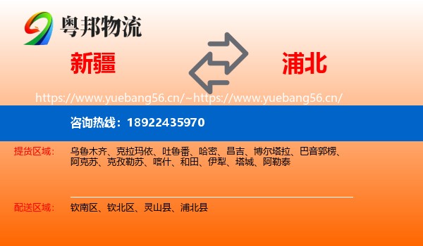 新疆到浦北县物流