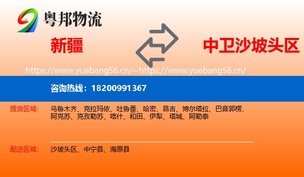 新疆到沙坡头区物流