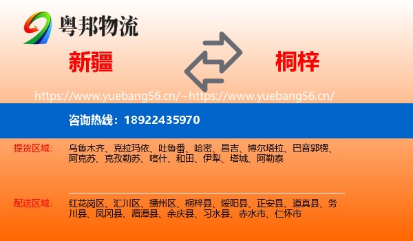 新疆到桐梓县物流