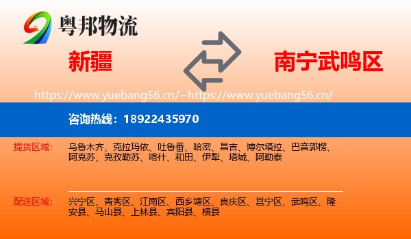 新疆到武鸣区物流