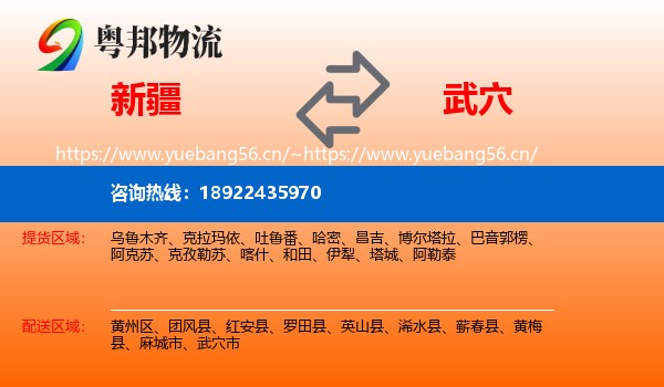 新疆到武穴市物流