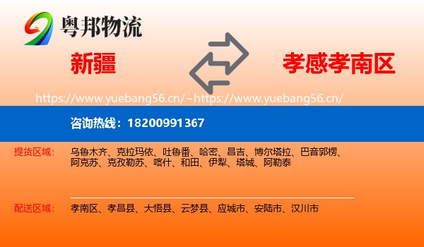 新疆到孝南区物流