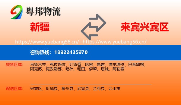 新疆到兴宾区物流