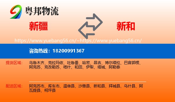 新疆到新和县物流