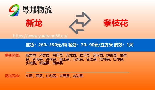 新龙到攀枝花物流 新龙到攀枝花物流专线名片