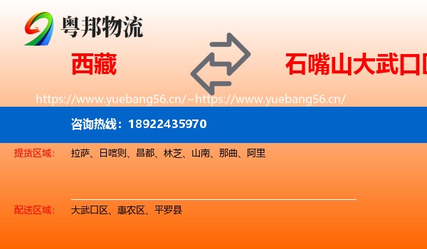 西藏到大武口区物流