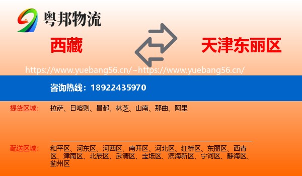 西藏到东丽区物流