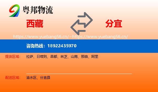 西藏到分宜县物流