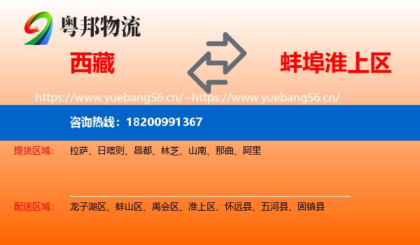 西藏到淮上区物流