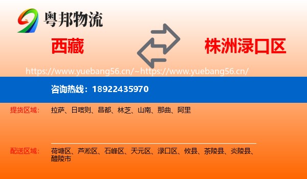西藏到渌口区物流