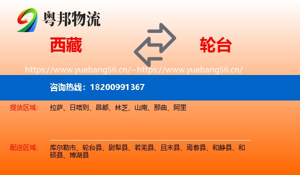 西藏到轮台县物流