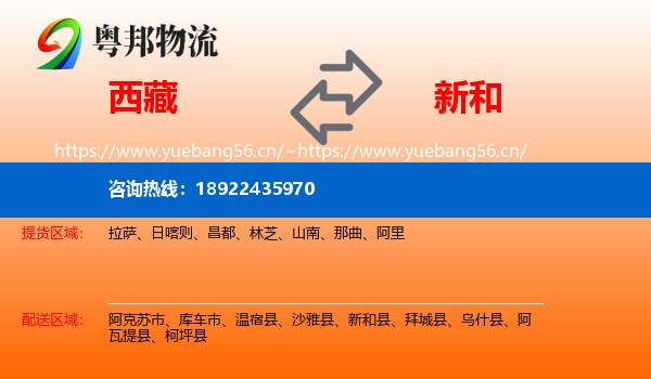 西藏到新和县物流
