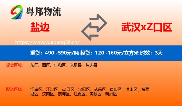 盐边到xZ口区物流专线名片