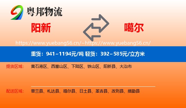 阳新到噶尔县物流