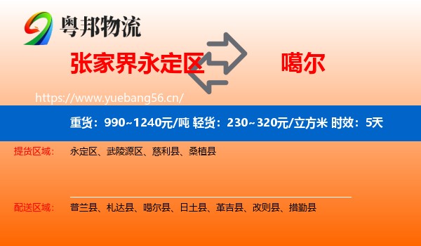 张家界永定区到噶尔县物流专线名片