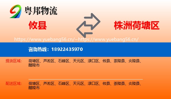 攸县到荷塘区物流