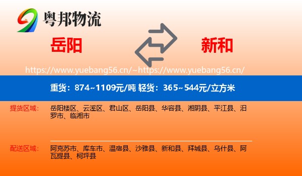 岳阳到新和县物流