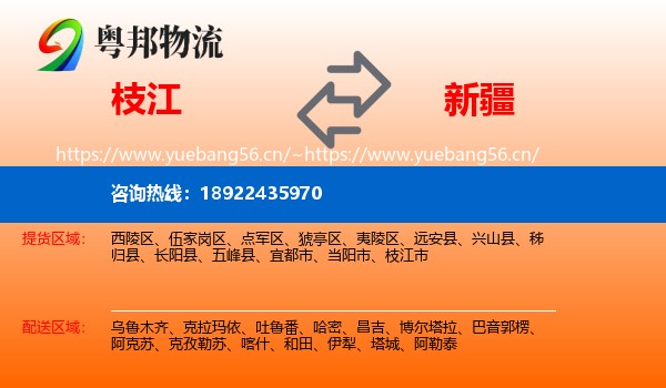 枝江到新疆物流